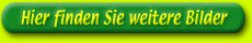 weitere Bilder